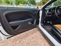 Dodge Challenger SXT AWD Blanco - thumbnail 12