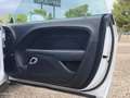 Dodge Challenger SXT AWD Blanco - thumbnail 11