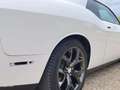 Dodge Challenger SXT AWD Blanco - thumbnail 40