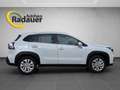 Suzuki S-Cross 1,4 Hybrid ALLGRIP shine Weiß - thumbnail 6