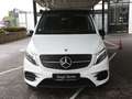 Mercedes-Benz Marco Polo V 250 d 4M  HORIZON EDITION AMG 360° Weiß - thumbnail 2