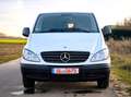 Mercedes-Benz Vito 109 CDI *TÜV NEU* *KD NEU* *AHK* Weiß - thumbnail 8