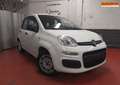 Fiat Panda 1.2 LPG * Airco * V/E * 1 an Garantie * 220 X 36 * Blanc - thumbnail 1