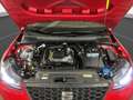 SEAT Arona 1.0 TSI Style LED LM 16" PDC+RFK Full Link Rojo - thumbnail 23