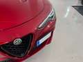 Alfa Romeo Stelvio 2.9 Bi-Turbo Q4 Quadrifoglio AT8 Rojo - thumbnail 8