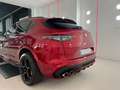 Alfa Romeo Stelvio 2.9 Bi-Turbo Q4 Quadrifoglio AT8 Rojo - thumbnail 7