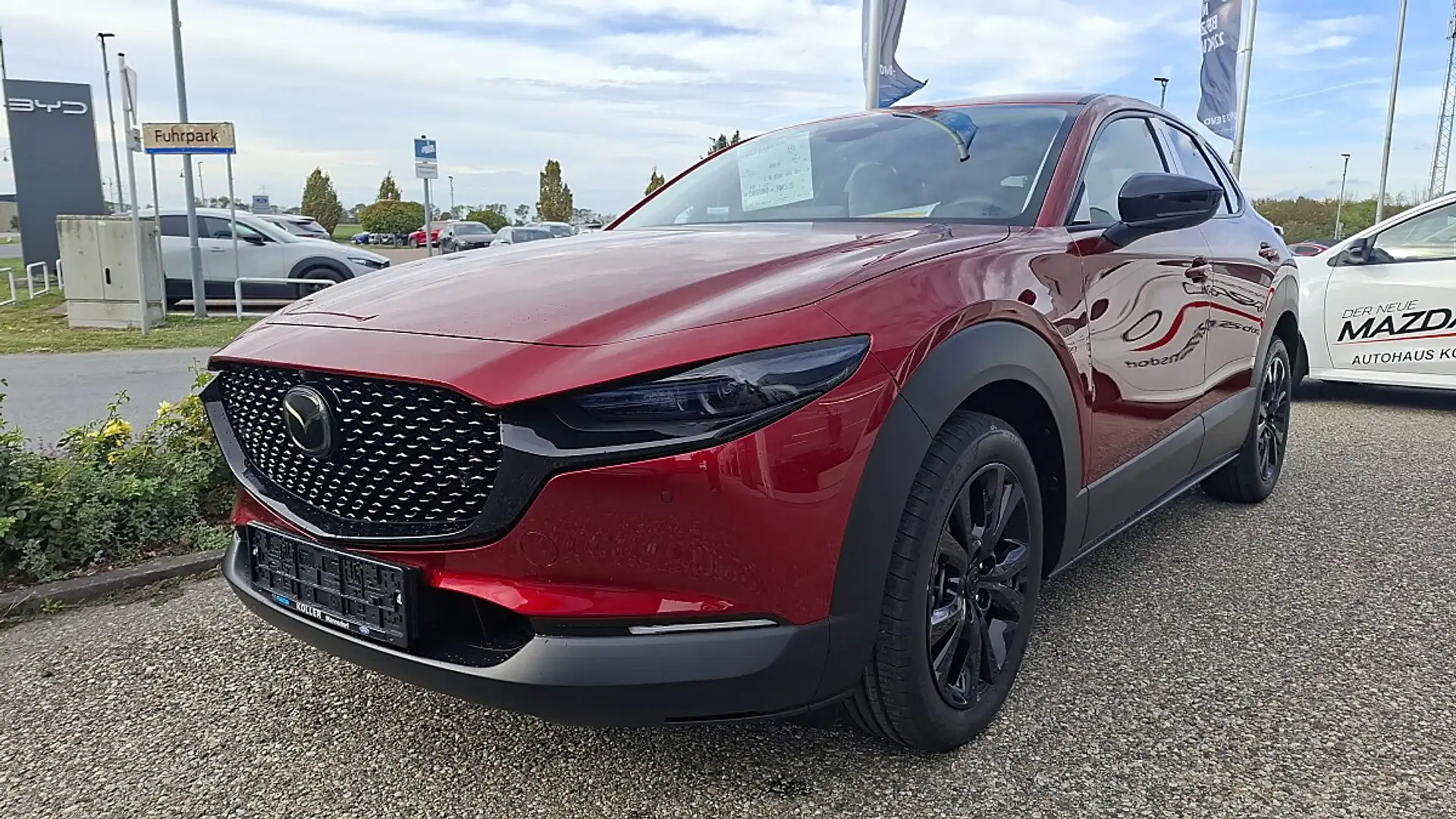Mazda CX-30 / inkl. Alu-WR / e-Skyactive G140 Makoto Aut. Rot - 2
