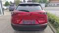Mazda CX-30 / inkl. Alu-WR / e-Skyactive G140 Makoto Aut. Rot - thumbnail 4
