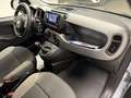 Fiat New Panda 1.2 Fire EasyPower City Life Gris - thumbnail 14