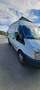 Ford Transit Bus Transit Minibus 2,2 TDCi L2H2 350 Trend Trend Weiß - thumbnail 3