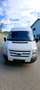 Ford Transit Bus Transit Minibus 2,2 TDCi L2H2 350 Trend Trend Weiß - thumbnail 2