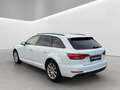 Audi A4 basis Weiß - thumbnail 4