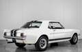 Ford Mustang V8 289 . Blanc - thumbnail 2