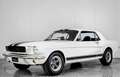 Ford Mustang V8 289 . Bianco - thumbnail 1