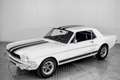 Ford Mustang V8 289 . Blanco - thumbnail 18