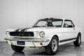 Ford Mustang V8 289 . Blanc - thumbnail 50