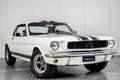 Ford Mustang V8 289 . Wit - thumbnail 3