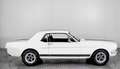 Ford Mustang V8 289 . Blanc - thumbnail 8
