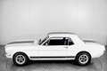 Ford Mustang V8 289 . Blanc - thumbnail 19