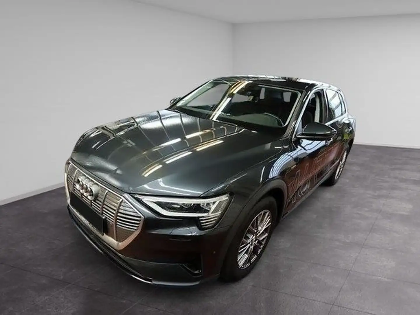 Audi e-tron Kamera/ACC/AHK/KeyLess/LED/Luft/Navi/RFK Grau - 1