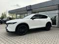 Mazda CX-5 2023 2.2L SKYACTIV D 184ps 6AT AWD HOMURA Weiß - thumbnail 2