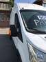 Ford TRANSIT TETTO ALTO PASSO LUNGO Bianco - thumbnail 4