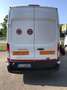Ford TRANSIT TETTO ALTO PASSO LUNGO Bianco - thumbnail 2
