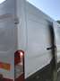 Ford TRANSIT TETTO ALTO PASSO LUNGO Bianco - thumbnail 6