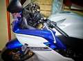 Honda CBR 600 Blu/Azzurro - thumbnail 3