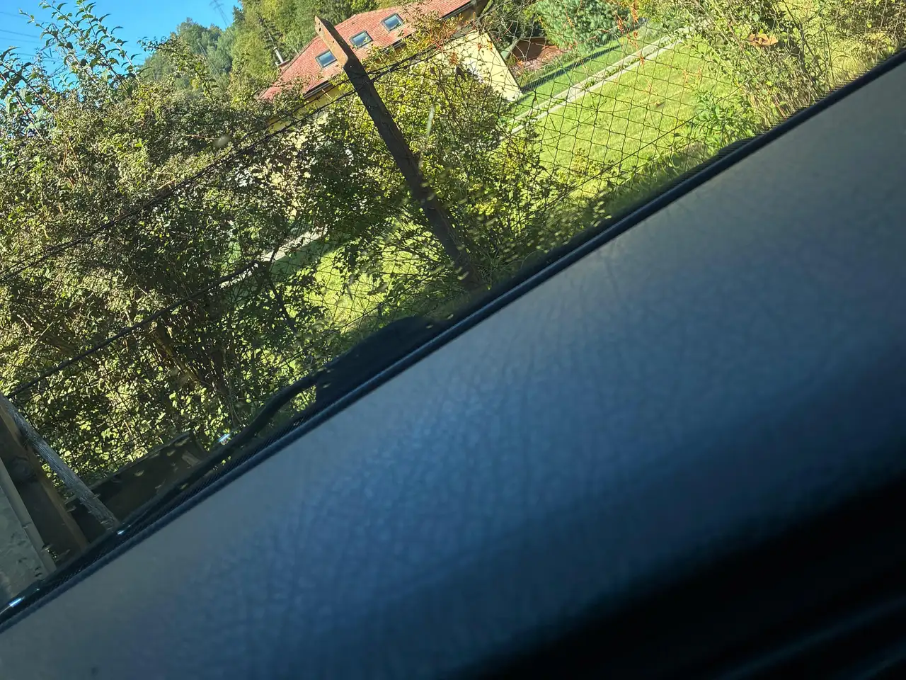 Volkswagen Golf Cabriolet Golf Rabbit Cabrio el. Verdeck, foto 4