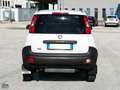 Fiat Panda VAN 1.3 MJT 75CV 4X4 (AUTOCARRO 2 POSTI) Weiß - thumbnail 5