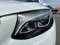Mercedes-Benz GLC 350 e 4MATIC PTS Cam Totw AHK LED EASY-PACK Weiß - thumbnail 14