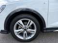 Audi Q3 35 TDI SPB S-TRONIC S-LINE EDITION SLINE LED-19" Bianco - thumbnail 7