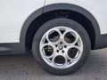 Alfa Romeo Tonale Tonale 1.6 Sprint 130cv tct6 Bianco - thumbnail 6