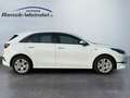 Kia Ceed / cee'd Vision Navi Klimaautom Kamera PDC Lichtsensor Appl Weiß - thumbnail 6