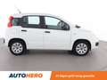 Fiat Panda 1.2 Pop Wit - thumbnail 7