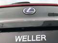 Lexus UX 250h Launch Edition *Bi-LED*ACC*CAM*SHZ*Navi* Noir - thumbnail 29
