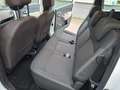 Dacia Lodgy Lodgy 1.5 dci Prestige 110cv 7posti Blanc - thumbnail 11