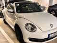 Volkswagen Beetle Weiß - thumbnail 3