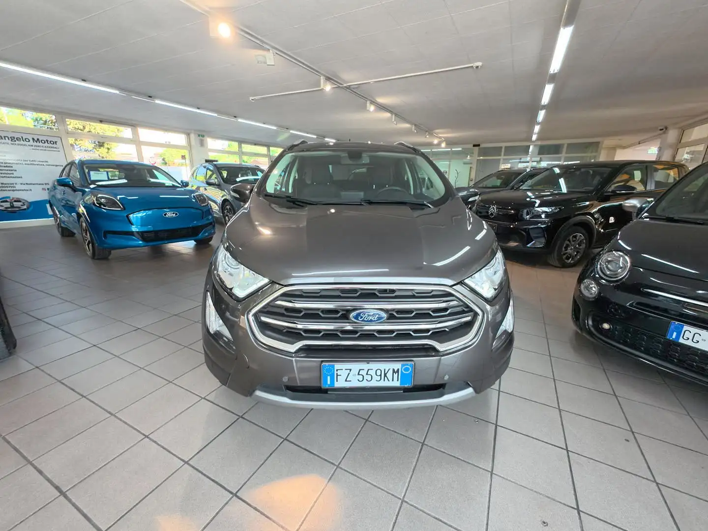 Ford EcoSport EcoSport 2018 1.0 ecoboost Business s Grigio - 2