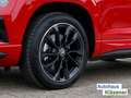 Skoda Karoq Sportline 1.5 TSI 110 KW DSG Rot - thumbnail 11