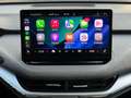 Skoda Enyaq iV 80, panoramadak, achteruitrijcamera, stoel-stuu Gris - thumbnail 12