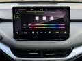 Skoda Enyaq iV 80, panoramadak, achteruitrijcamera, stoel-stuu Gris - thumbnail 37
