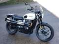 Triumph Scrambler Triumph Street Scrambler 900 65CV (GARANTIE 11/24) Blanc - thumbnail 1