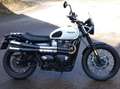 Triumph Scrambler Triumph Street Scrambler 900 65CV (GARANTIE 11/24) Blanc - thumbnail 2