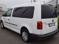 Volkswagen Caddy 2.0 TDi SCR Maxi Lichte Vracht 5 personen Blanco - thumbnail 7