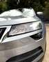 Skoda Karoq Karoq 1,6 TDI Style Limited Style Limited Grau - thumbnail 8