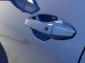 Kia Sportage 1.6 CRDi MHEV DCT GT-line Plus - Premium Pack Blu/Azzurro - thumbnail 13