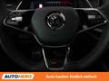 Skoda Octavia 2.0 TSI RS Aut. *LED*SPUR*TOT*PANO*CAM*MASSAGE* Grau - thumbnail 19
