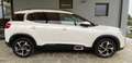 Citroen C5 Aircross 2.0 bluehdi Feel s&s 180cv eat8 my19 Bianco - thumbnail 6